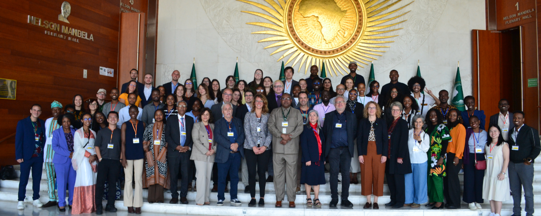 Alumni in the AUC
